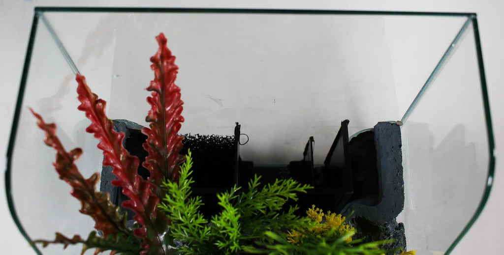 1.85 Gallons Glass Aquarium for Live Plants and Fish