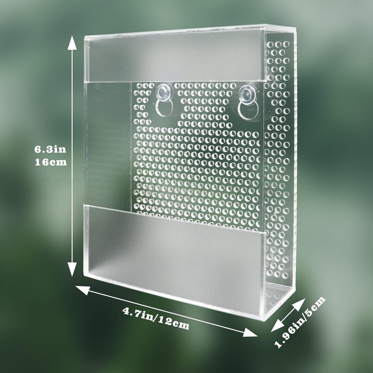 Clear Acrylic Wall-Mounted Live Insect Feeder Box