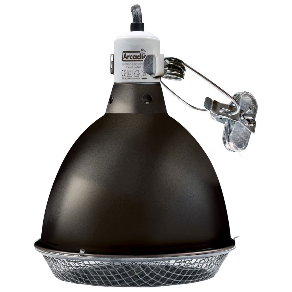 Arcadia Ceramic Reflector Clamp Lamp, Graphite