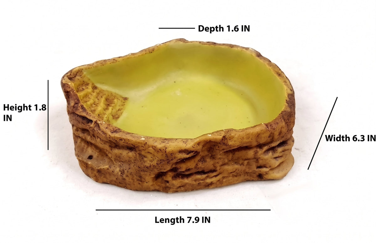Natural Stepped Rock Reptile Basin & Feeder Series