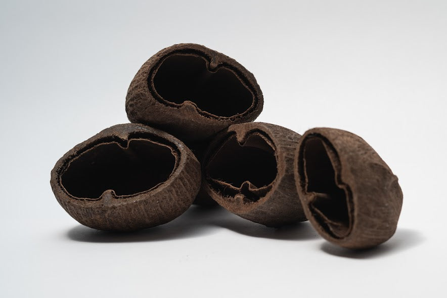 Palm Pod