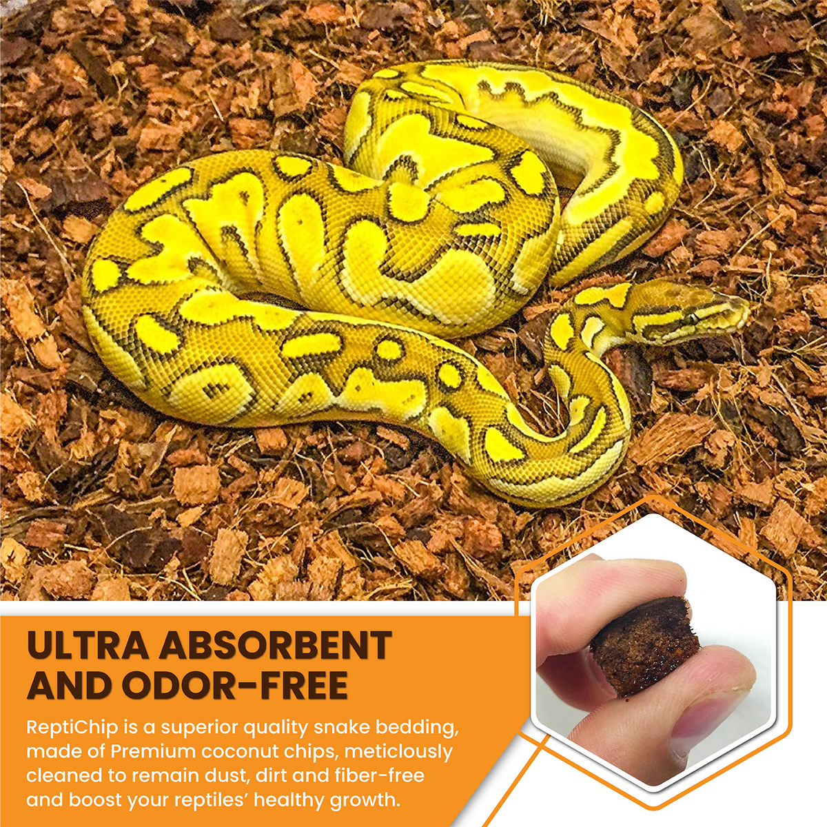 ReptiChip Breeder Blocks and Bundles