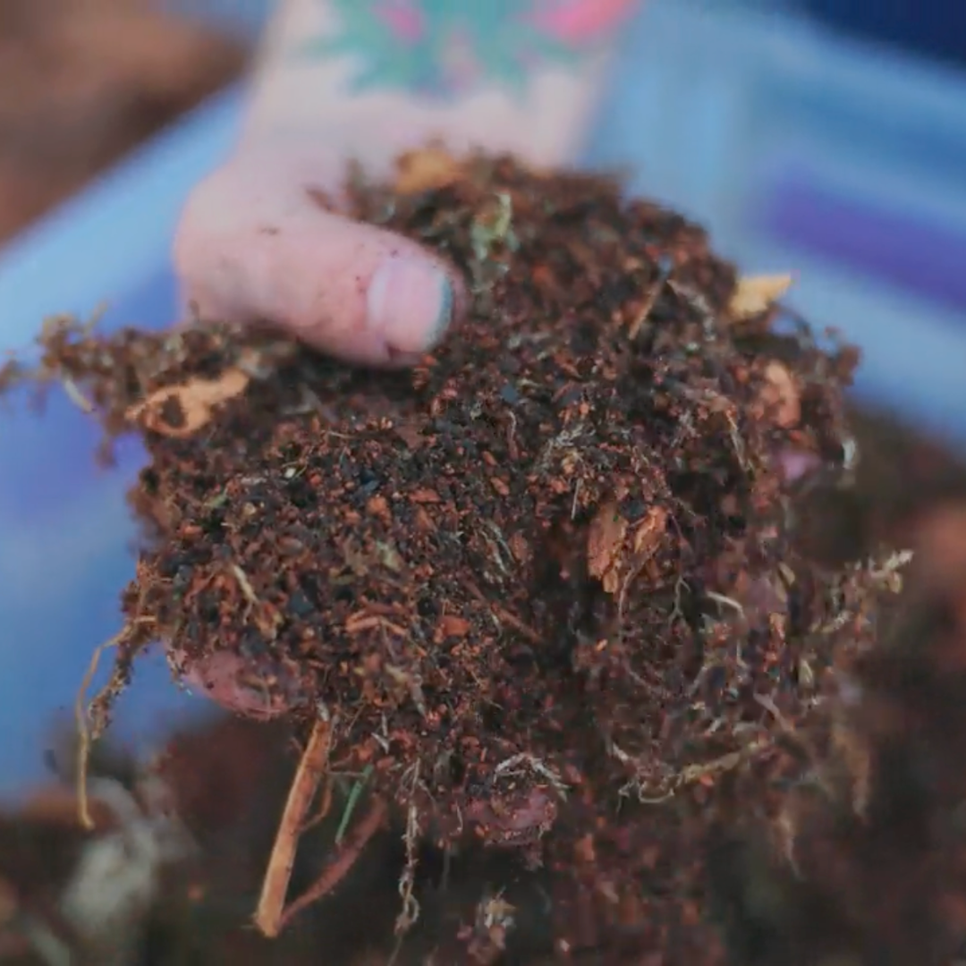 TropicalBase Terrarium Mix; Bioactive Ready to Use
