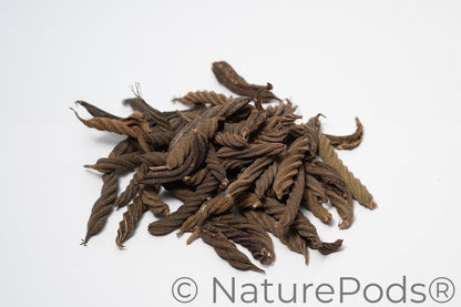 Twisty Pods/Fusilli Pods