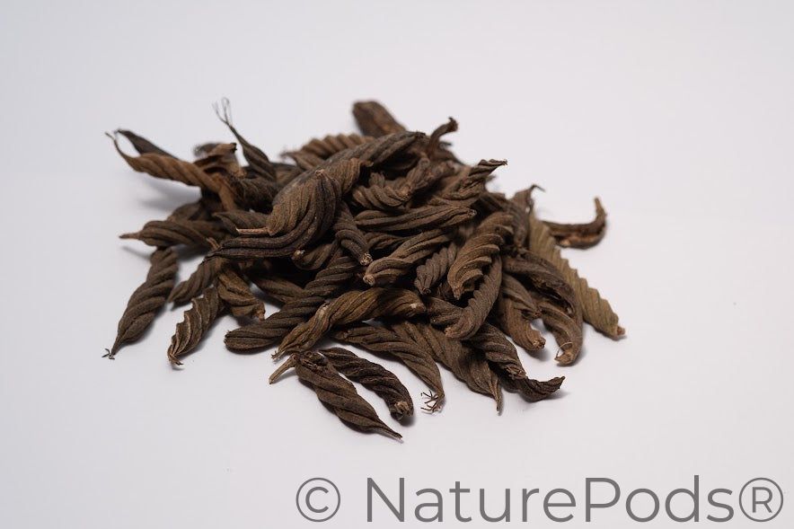 Twisty Pods/Fusilli Pods