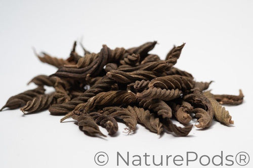 Twisty Pods/Fusilli Pods
