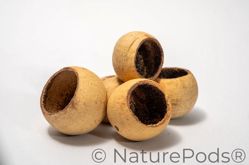 Mini Bell Cups