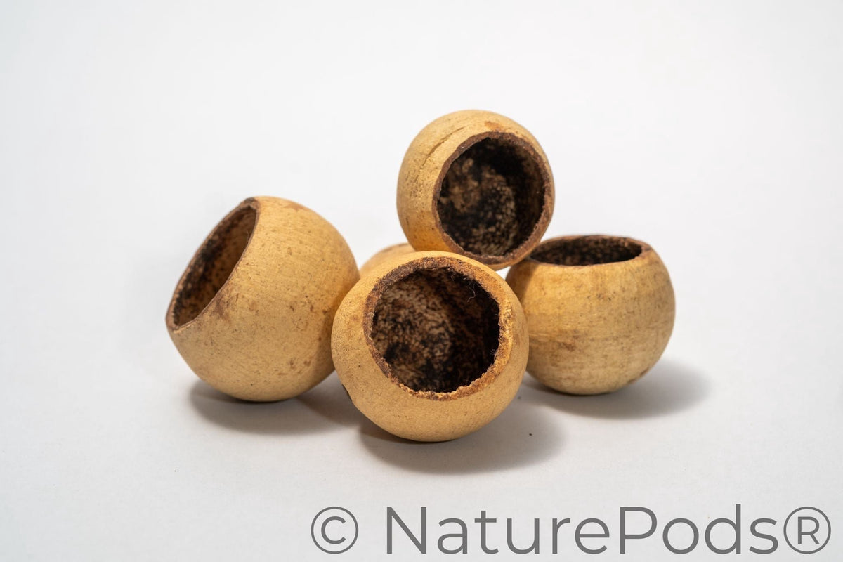 Small Bell Cups
