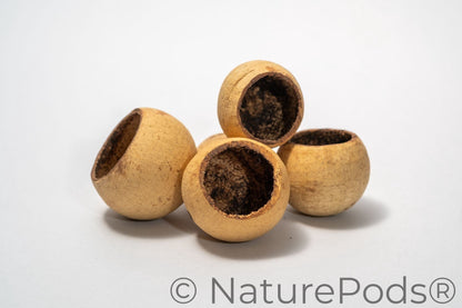 Small Bell Cups