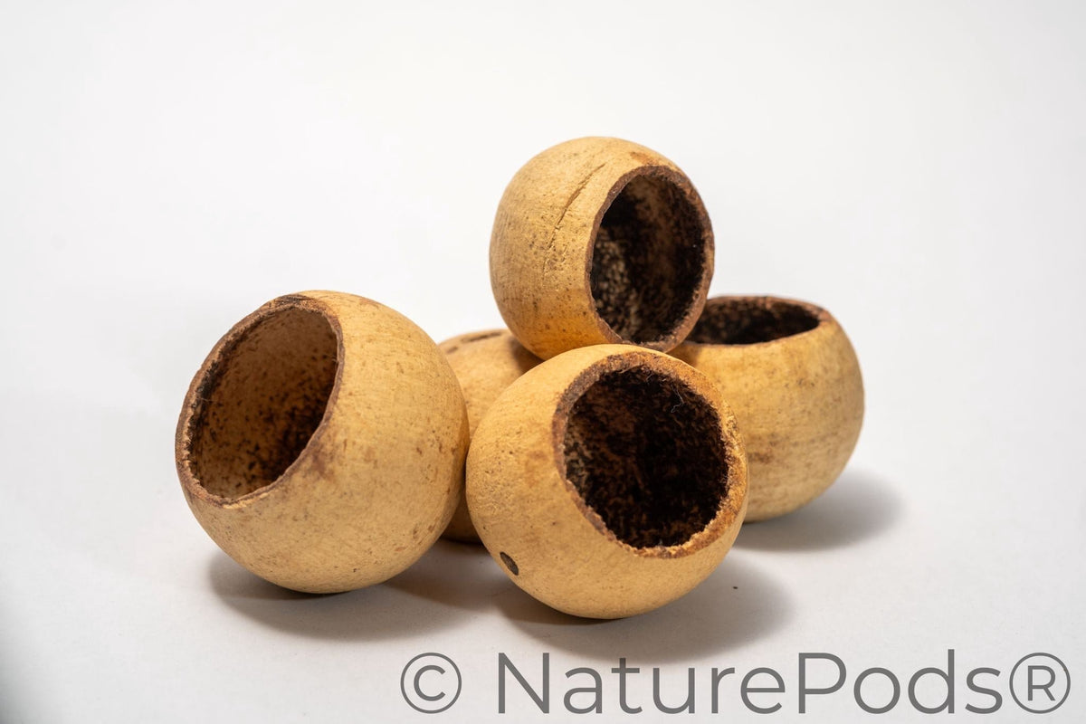 Small Bell Cups