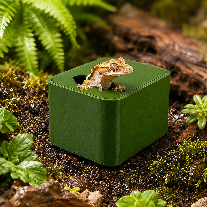 Humid Hide & Nesting Box