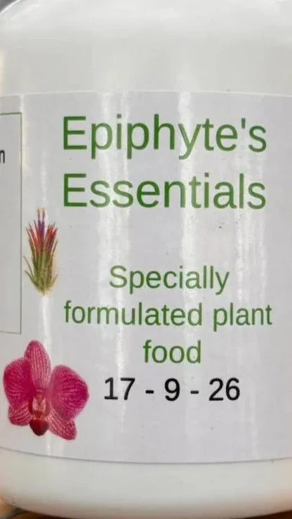 Epiphyte's Essentials Air Plant Collection