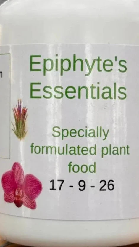 Epiphyte's Essentials Air Plant Collection