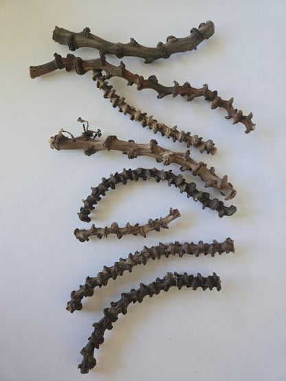 Dried Banana Stems