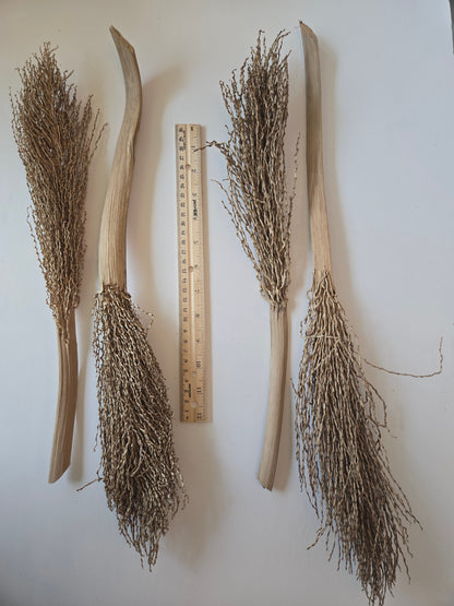 Date Palm Stalk