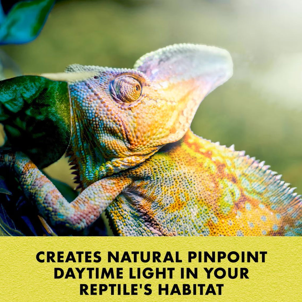 Zilla Day White Incandescent Spot Bulb for Reptiles